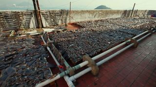 54. Гонка на вымирание (2015)