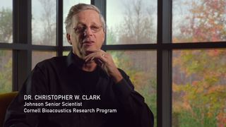 73. Гонка на вымирание (2015)