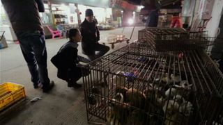 76. Гонка на вымирание (2015)