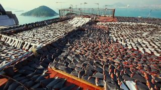 8. Гонка на вымирание (2015)