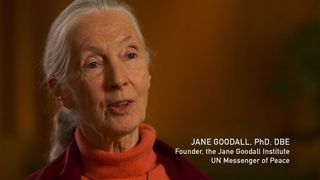 84. Гонка на вымирание (2015)