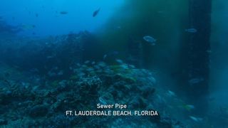 86. Гонка на вымирание (2015)