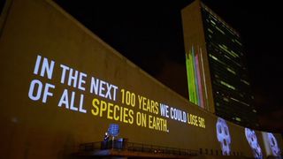 9. Гонка на вымирание (2015)