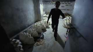 95. Гонка на вымирание (2015)