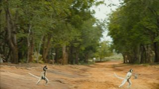 19. Остров лемуров: Мадагаскар (2014)