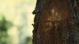 22. Последний дом слева (2009)