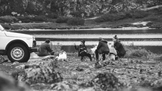 81. Левиафан (2014)