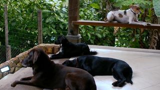 4. Citizenfour: Правда Сноудена (2014)