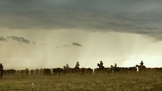 59. Любой ценой (2016)