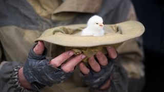 25. Август. Восьмого (2012)