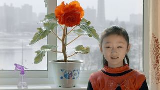 10. В лучах солнца (2015)