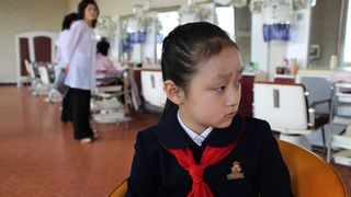 14. В лучах солнца (2015)