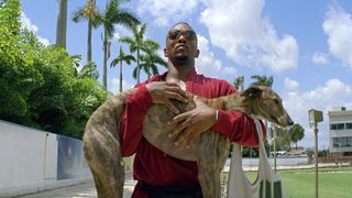 25. Кровью и потом: Анаболики (2013)