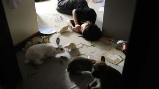 21. Последняя любовь на Земле (2011)