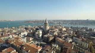 9. Город кошек (2016)