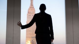 10. Предел риска (2011)