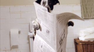 30. Брюс Всемогущий (2003)