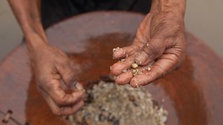 20. Золото (2016)