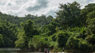 26. Золото (2016)