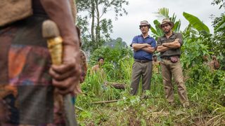 43. Золото (2016)