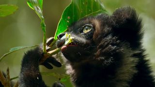 102. Планета Земля 2 (2016)