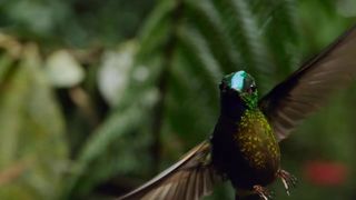 107. Планета Земля 2 (2016)