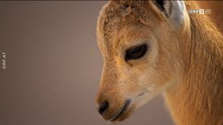 11. Планета Земля 2 (2016)