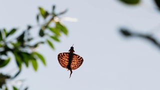 112. Планета Земля 2 (2016)