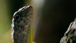 118. Планета Земля 2 (2016)