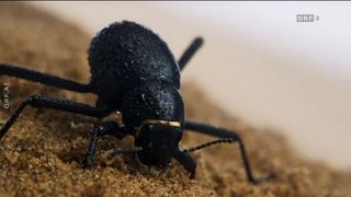 12. Планета Земля 2 (2016)