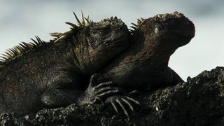 122. Планета Земля 2 (2016)