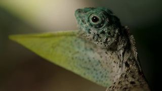 125. Планета Земля 2 (2016)