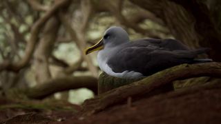 126. Планета Земля 2 (2016)