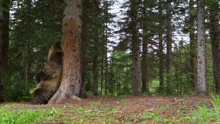 127. Планета Земля 2 (2016)