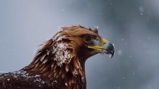 129. Планета Земля 2 (2016)