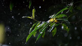 130. Планета Земля 2 (2016)