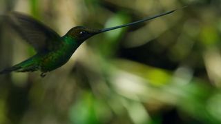 136. Планета Земля 2 (2016)