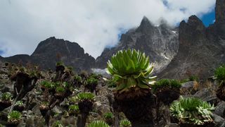 139. Планета Земля 2 (2016)