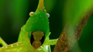 140. Планета Земля 2 (2016)