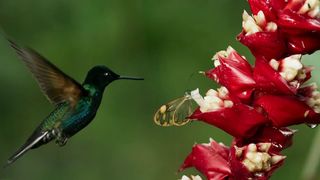 141. Планета Земля 2 (2016)