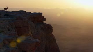 143. Планета Земля 2 (2016)