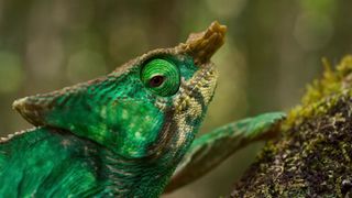 144. Планета Земля 2 (2016)