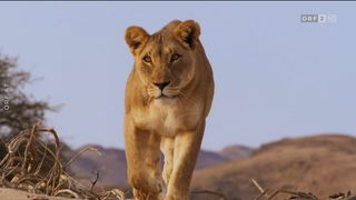 19. Планета Земля 2 (2016)