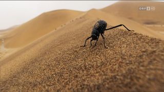 20. Планета Земля 2 (2016)