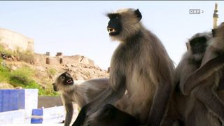 22. Планета Земля 2 (2016)