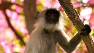 24. Планета Земля 2 (2016)