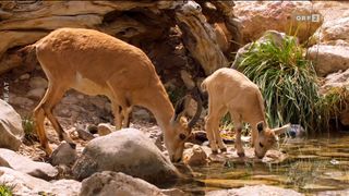 27. Планета Земля 2 (2016)