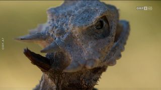 28. Планета Земля 2 (2016)