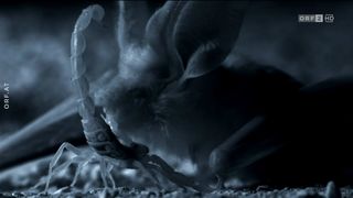 33. Планета Земля 2 (2016)