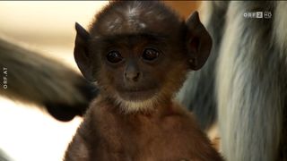 34. Планета Земля 2 (2016)